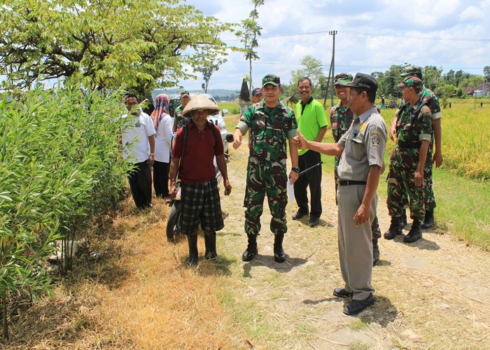 Komandan Kodim 0808 Blitar Letkol Inf Kris Bianto mengunjungi petani untuk berkoordinasi soal serapan gabah. (Foto: Istimewa)