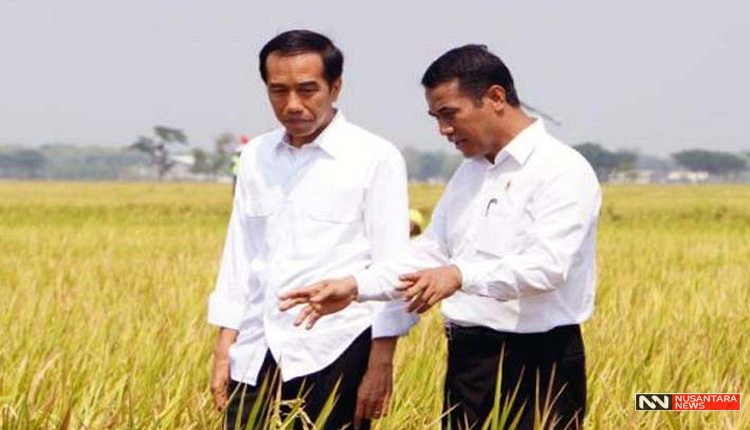 Jokowi dan Amran Sulaiman (Foto Istimewa)