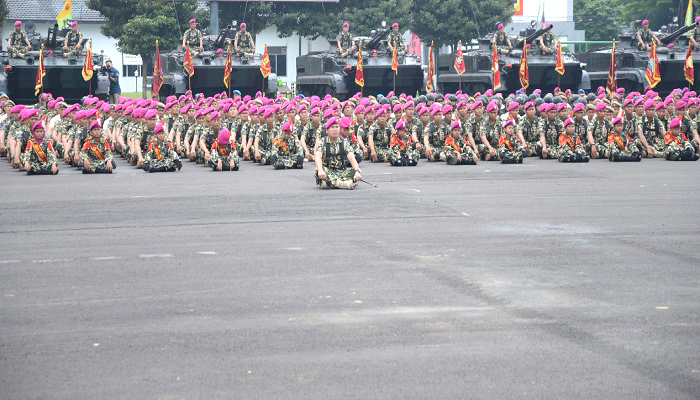 kasal, angkatan laut, marinir, prajurit marinir, tni angkatan laut, laksamana ade supandi