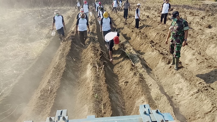 Dinas Pertanian Kabupaten Kediri mengadakan pelatihan penanggulangan hama ureg yang disampaikan langsung Dinas Perkebunan dan Pertanian Provinsi jawa Timur. (FOTO: NUSANTARANEWS.CO/Penrem 082/CPYJ)