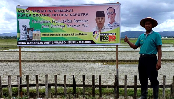 panen raya padi buru, aa zaki, binaan aa zaki, produktivitas pertanian, budidaya tanaman padi, padi maluku, petani maluku, petani binaan aa zaki, swasembada pangan maluku, nusantaranews