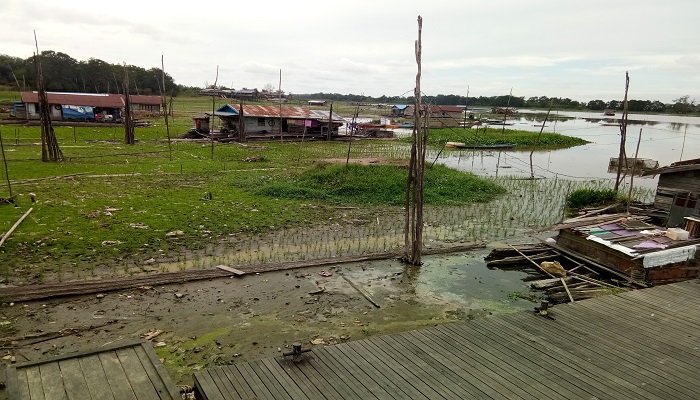 danau jempang, kutai barat, kaltim, kekeringan kaltim, warga kaltim, danau terluas kaltim, sungai mahakam, nusantaranews