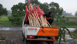 Panwas Pemilu Kecamatan Gemuh, Kabupaten Kendal, Jawa Tengah tertibkan Ratusan Alat Peraga Kampanye (APK) partai politik yang menganggu fasilitas publik. (Foto: Istimewa)