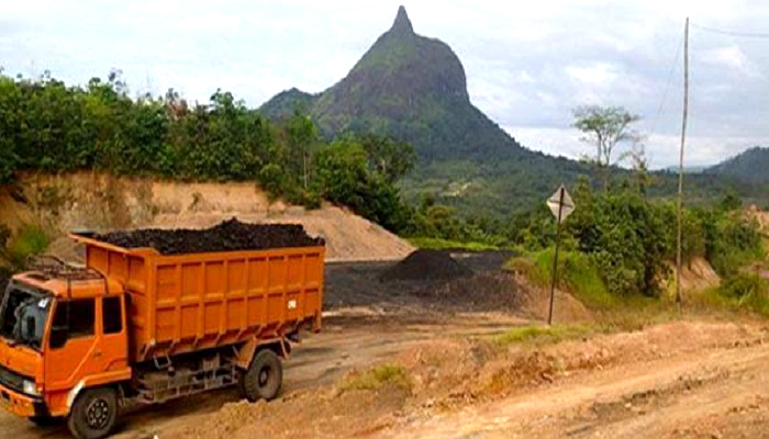 angkutan batubara, truk batubara, jalan sumsel, pelabuhan titan, aplsi, tambang batubara, truk tambang batubara, conveyor, pergub sumsel, pengusaha batubara, penjualan batubara