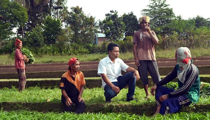 stn nunukan, jalan tani, kawasan perbatasan, nunukan, basis maritim, kalimantan utara, pemda nunukan, petani nunukan, serikat tani nunukan, agus lempang, nusantaranews, ekonomi nunukan, infrastruktur pertanian