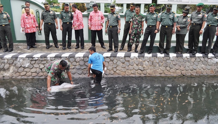 sungai mojokerto, kota mojokerto, aliran sungai mojokerto, ikan nila merah, korem citra panca yudha jaya, nusantaranews