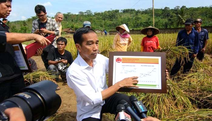 bidang pertanian, bidang energi, bidang pangan, bidang sda, jokowi gagal, pertanian indonesia, swasembada pangan, kedaulatan pangan, janji jokowi, nusantaranews