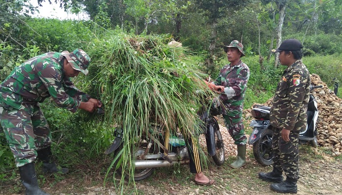 petani, kabur, anggota tni, sumenep, nusantaranews