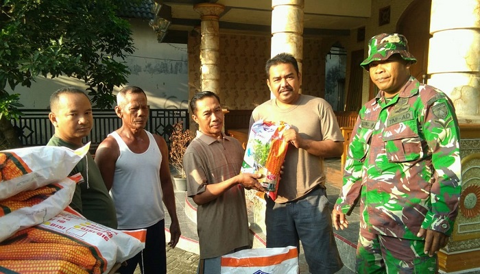 kelompok tani, madiun, bibit jagung, nusantaranews