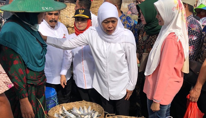 Harga Ikan Tambak di Lamongan Anjlok, Gubernur Jatim Khofifah Indar Parawansa Bidik Eksport ke Panama. (Foto: Setya/NUSANTARANEWS.CO)