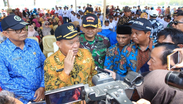 musim kemarau, petani, lamongan, panen padi, nusantaranews