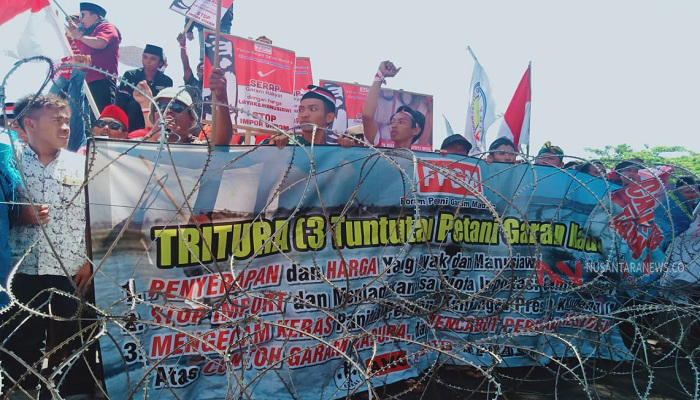 garam madura, madura jelek, garam ntt, jokowi minta maaf, fpgm, nusantaranews