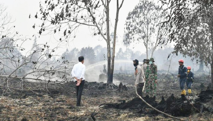 perintah jokowi, bnpb, penanganan kebakaran, kebakaran hutan, riau, nusantaranews