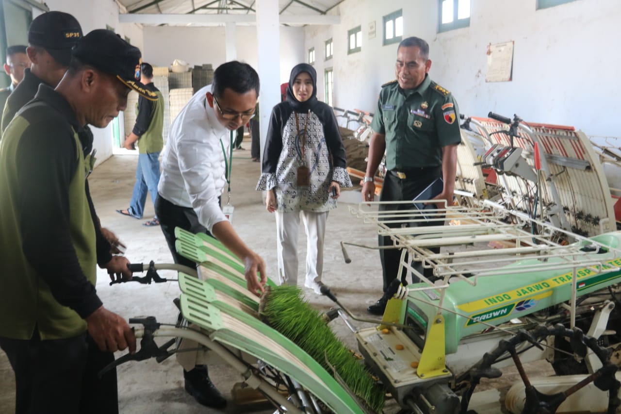 Banjir Pesanan Bibit Padi, SP3T Jombang Tak Mampu Penuhi Permintaan