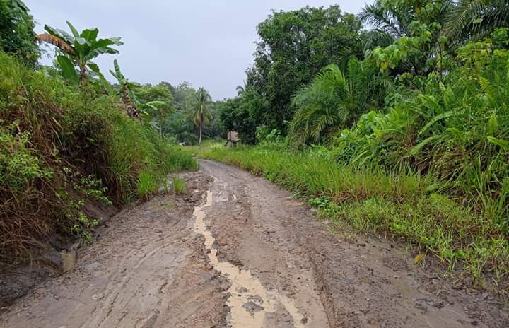 Jalan poros tengah Sebatik wilayah Kawasan Strategis Nasional yang belum maksimal pembangunanya.