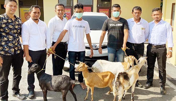 Polres Pidie Jaya Berhasil Ringkus Komplotan Pencuri Kambing