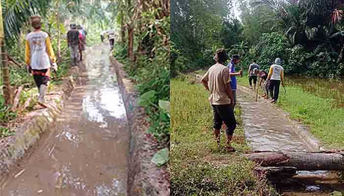 Kegiatan Gotong Royong Warga Gampong Alue Buloh Sa