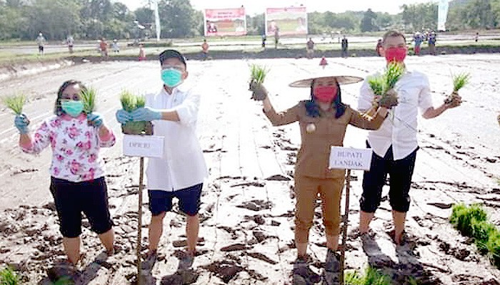 Bupati Landak dorong masyarakat bertani meski masih pandemi Covid-19.