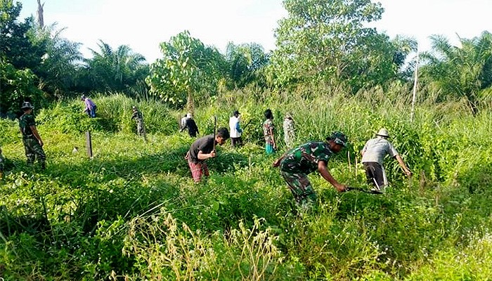 Wujudkan ketahanan pangan, Satgas Pamtas Yonif 623/BWU buka lahan bersama masyarakat