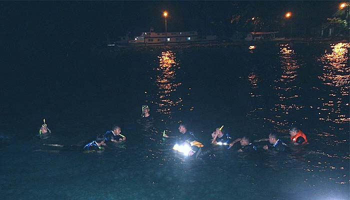 Personel Special Response Team lakukan renang malam.