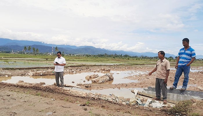 Tanggul jebol, ratusan hektare sawah di Abdya terancam gagal tanam.