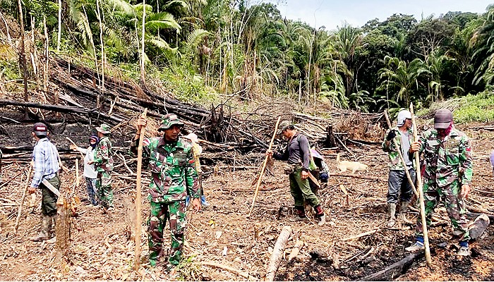 Satgas Pamtas Yonif 623/BWU bantu warga buka lahan perkebunan.