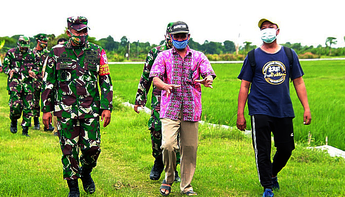 Meski pandemi, Kodim Lamongan upayakan peningkatan ketahanan pangan.