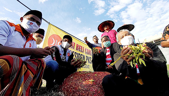 Bantu Sejahterakan Petani Garam dan Cabai, Presiden PKS Borong Garam dan Cabai Petani