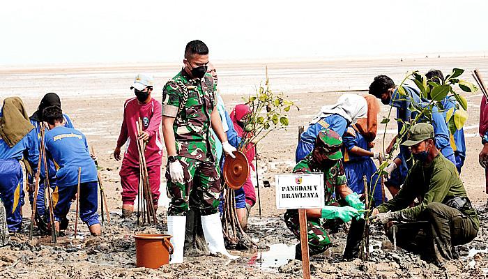 Tanam puluhan ribu bibit mangrove, Pangdam V/Brawijaya pimpin penanaman di Kabupaten Bangkalan,