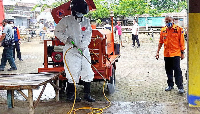 Cegah PMK, BPBD Jatim semprot ternak di Pasuruan dan perluas di enam daerah