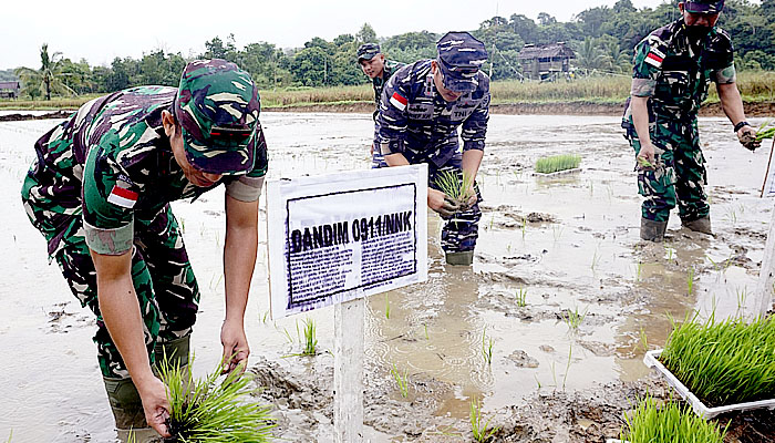 Pemkab Nunukan apresiasi upaya Kodim 0911/Nnk dalam mewujudkan ketahanan pangan.