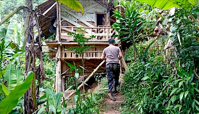 Ditemukan ladang ganja seluas 10 hektar di Kabupaten Cianjur.