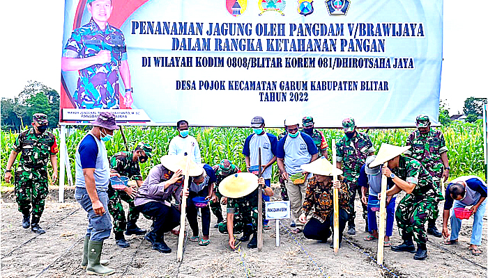 Pangdam V/Brawijaya tanam bibit jagung dalam rangka ketahanan pangan