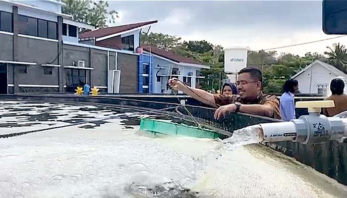 Kenalkan budidaya perikanan, cara Anwar Sadad ajak milenial jadi petani Milenial