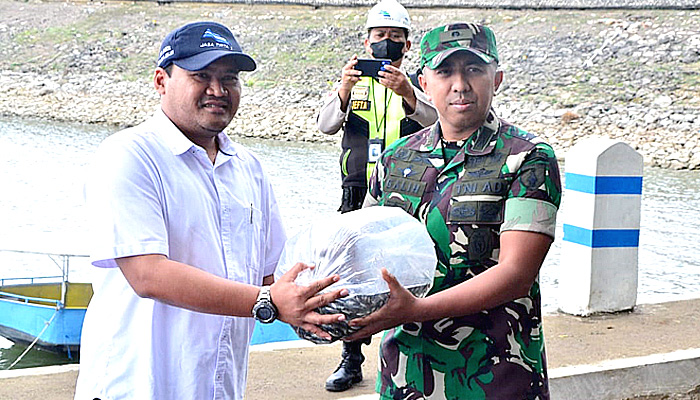 Ratusan ribu bibit ikan nila ditebar di Bendungan Sutami Karangkates