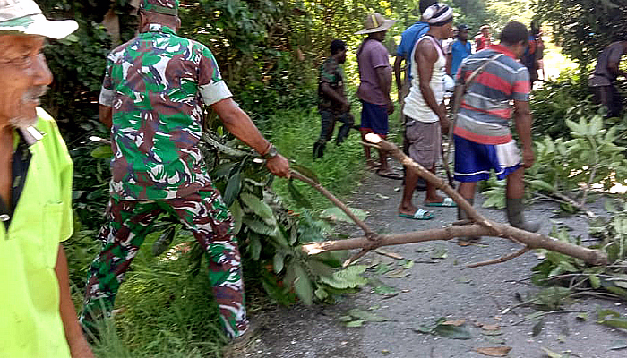 TNI gelar karya bakti dan bahu membahu padamkan kebakaran rumah warga di Sarmi.