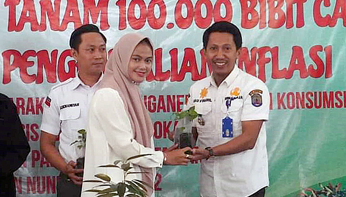 Pemkab Nunukan Serahkan 100.000 Bibit Cabai Kepada Masyarakat