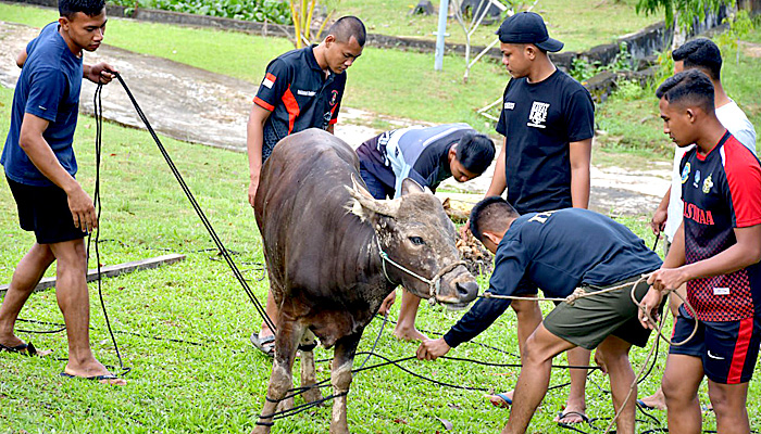 Lanal Nunukan Laksanakan Ibadah Qurban Idul Adha 1444 H