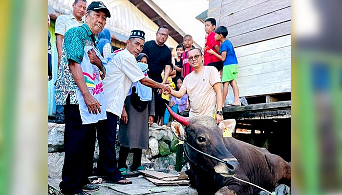 Deddy Sitorus Bagikan 14  Ekor Sapi Qurban Untuk Umat Islam di Kaltara