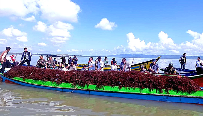 World Bank Kunjungi Budidaya Rumput Laut Mamolo