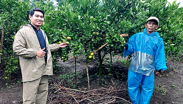 Maju Caleg, Inilah Cara Petani di Kabupaten Malang Perjuangkan Kelangkaan Pupuk Subsidi