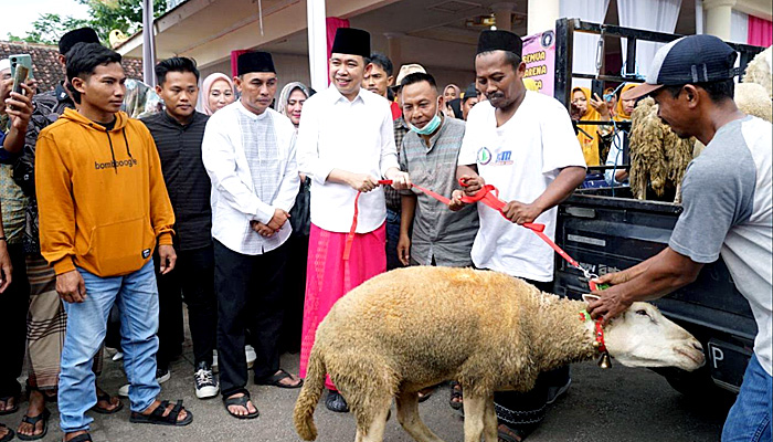 Sumbang Ternak Untuk Modal, Komunitas Pedagang Sapi dan Kambing Dukung  Gus Fawait Maju Pilkada Jember